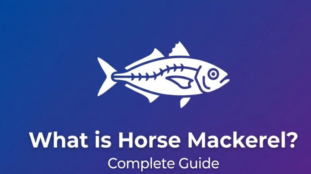 What is Horse Mackerel