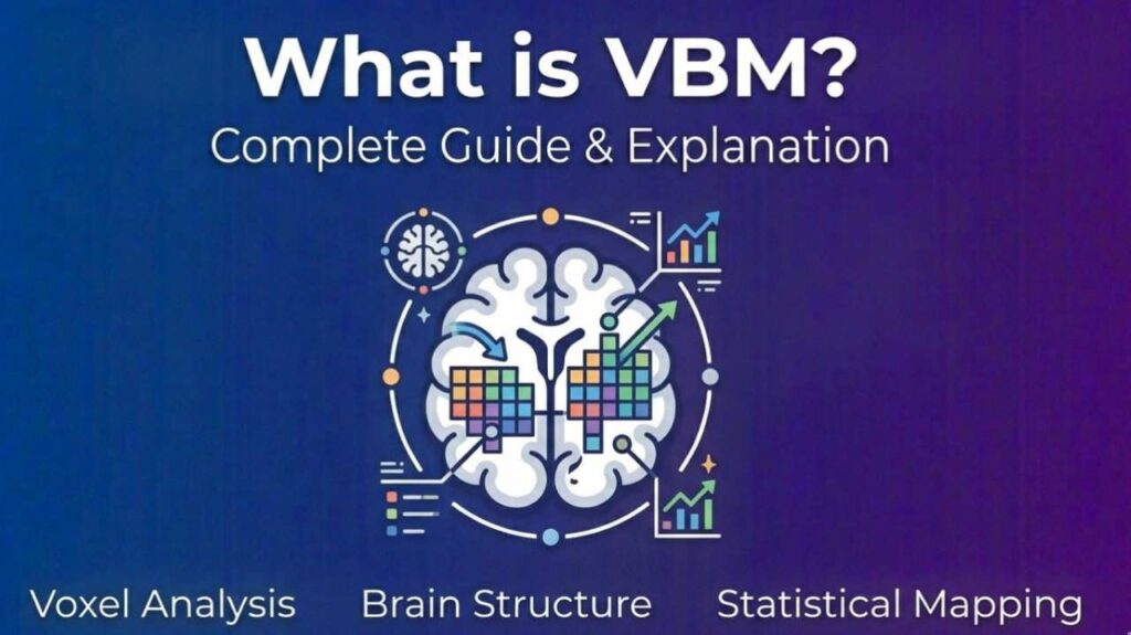 What is VBM