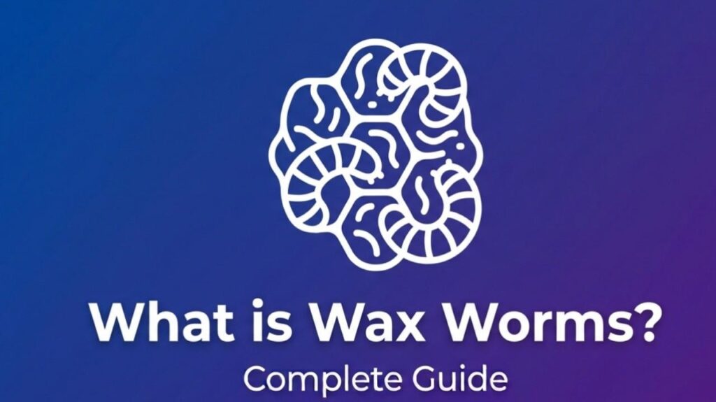 What is Wax Worms