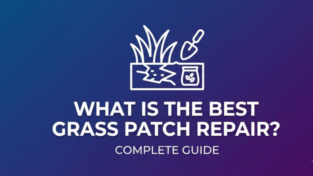 What is the Best Grass Patch Repair