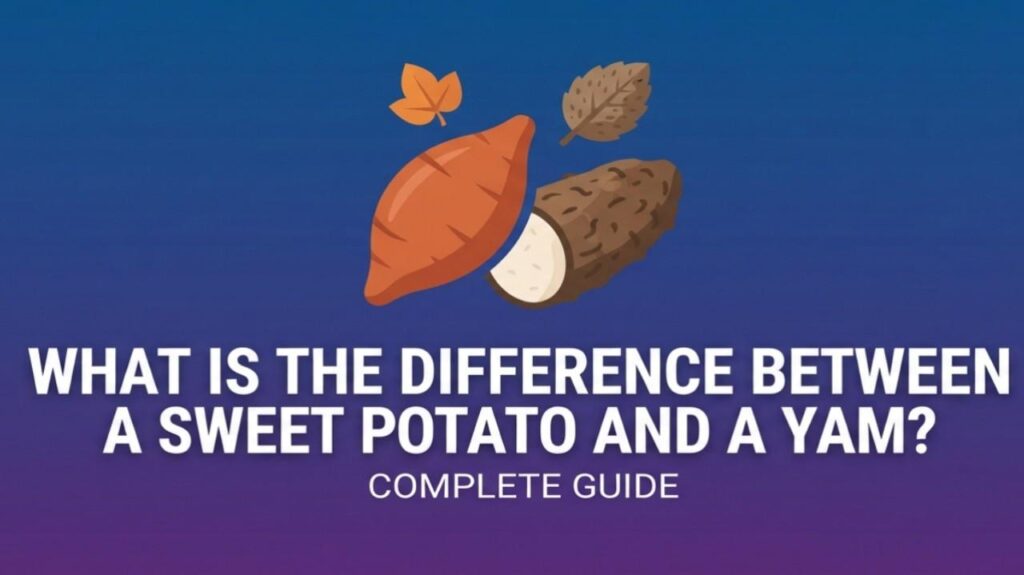 What is the Difference Between a Sweet Potato and a Yam