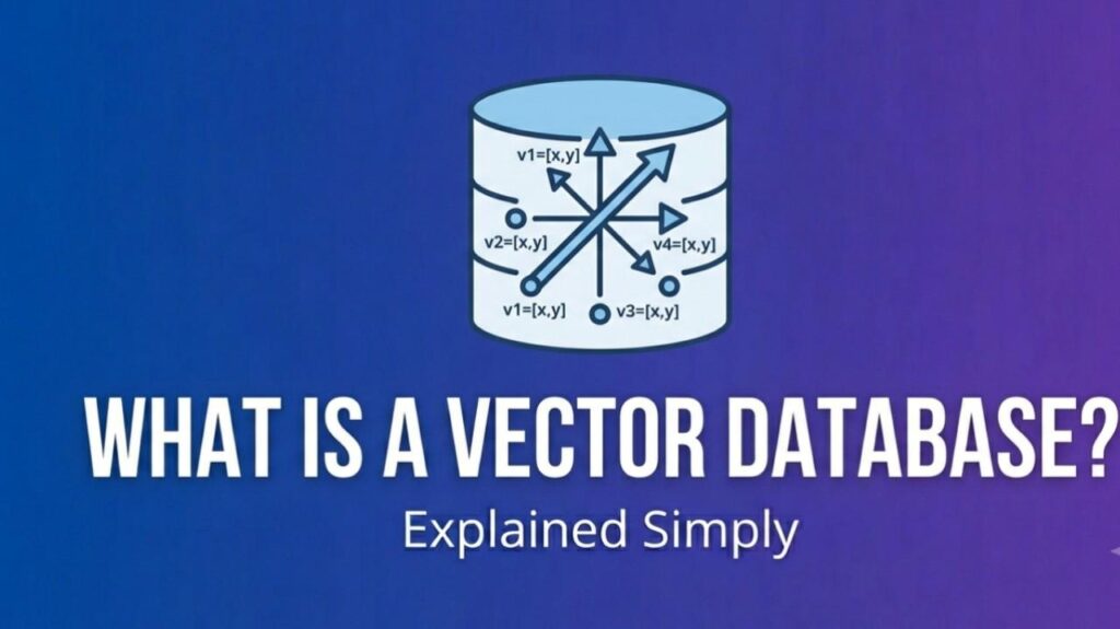 what is a vector database