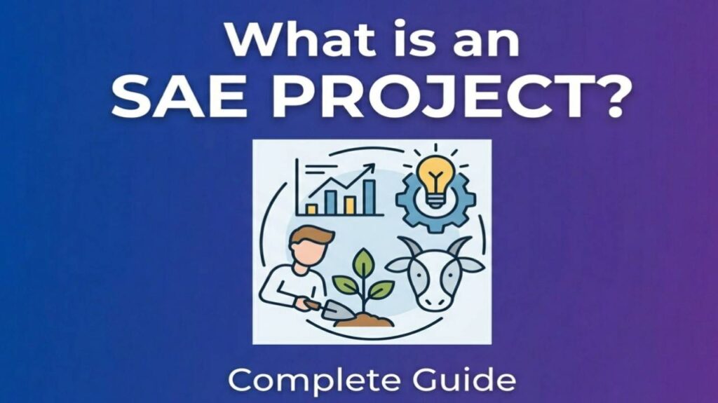 what is an sae project